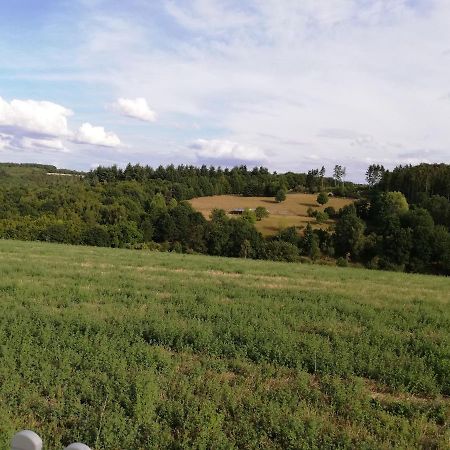 Ferienwohnung Altmaier - Ferien Auf Dem Lande Griebelschied Bagian luar foto