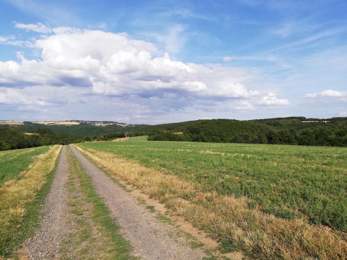 Ferienwohnung Altmaier - Ferien Auf Dem Lande Griebelschied Bagian luar foto
